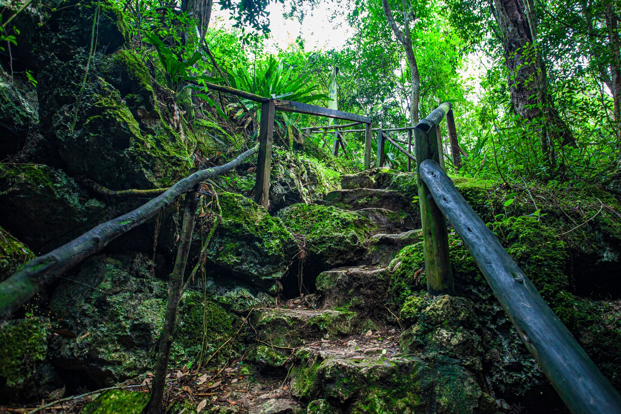 parque-nacional-cotubanama-republica-dominicana-seccion-padre-nuestro-vegetacion-tipica-interior-canteras-como-cueva-padre-nuestro-cueva-chico_466739-4215